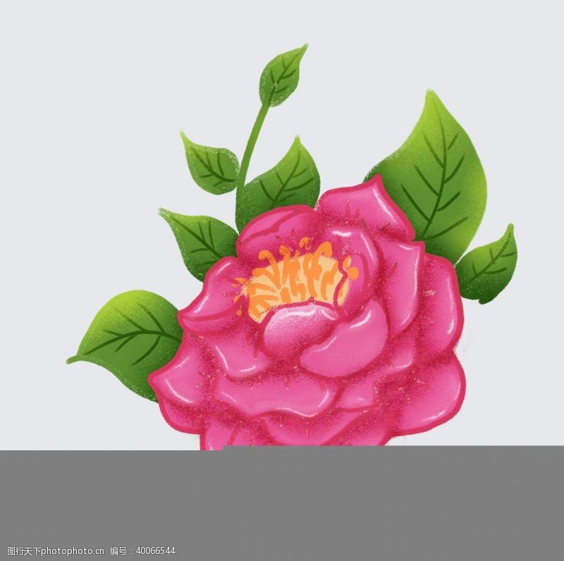水彩花卉手绘牡丹花素材图片