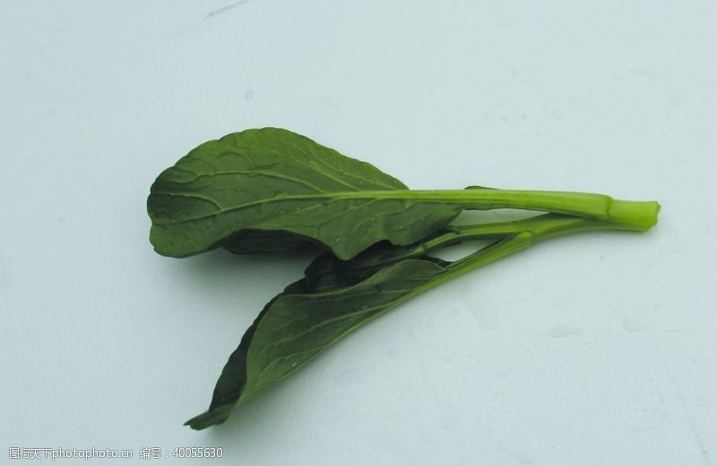 耳机蔬菜菜苔图片
