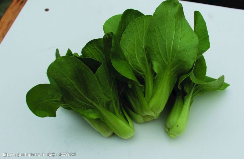 耳机蔬菜瓢耳白瓢耳菜图片