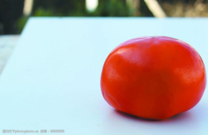 水果柿子图片