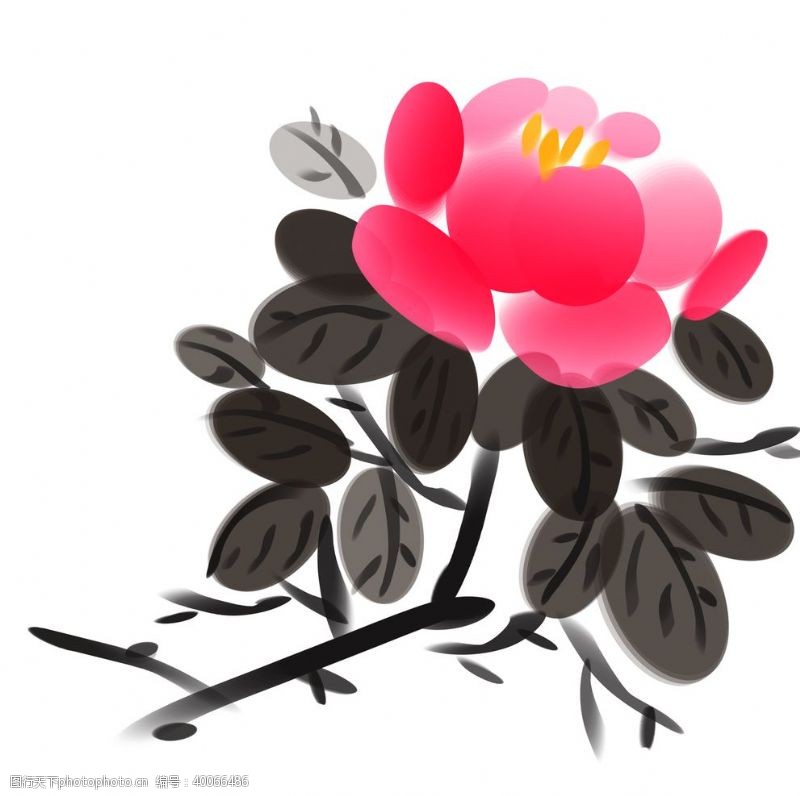 水彩花卉水墨牡丹素材图片
