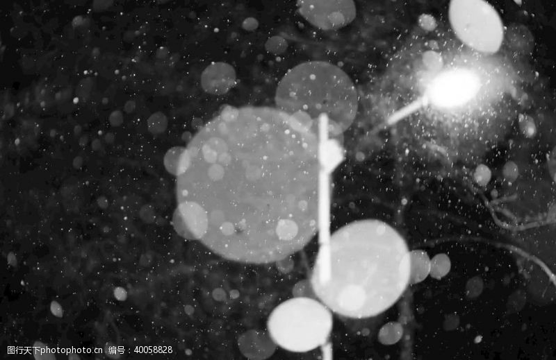 黑白夜景雪灯图片