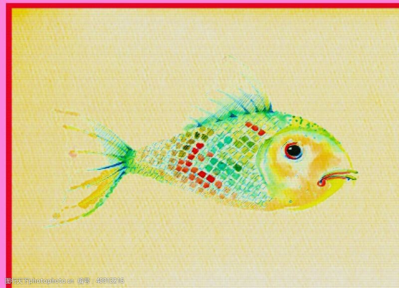鱼图案一条鱼图片