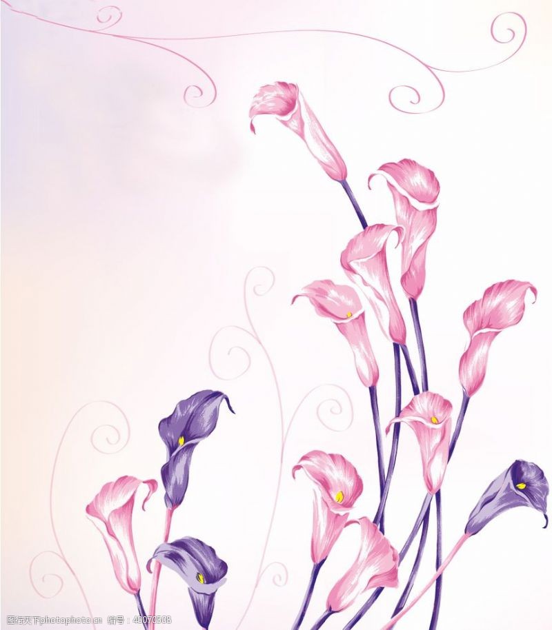 水彩花卉彩绘花图片