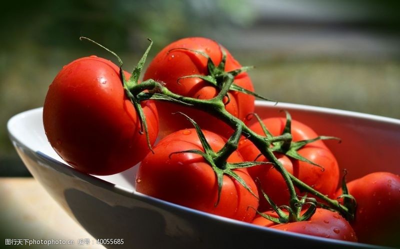 海门摄影番茄图片