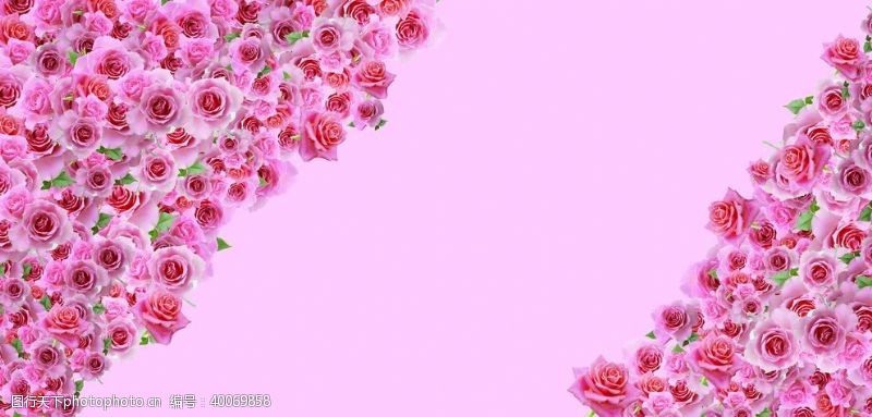 粉玫瑰粉色浪漫婚礼背景图片