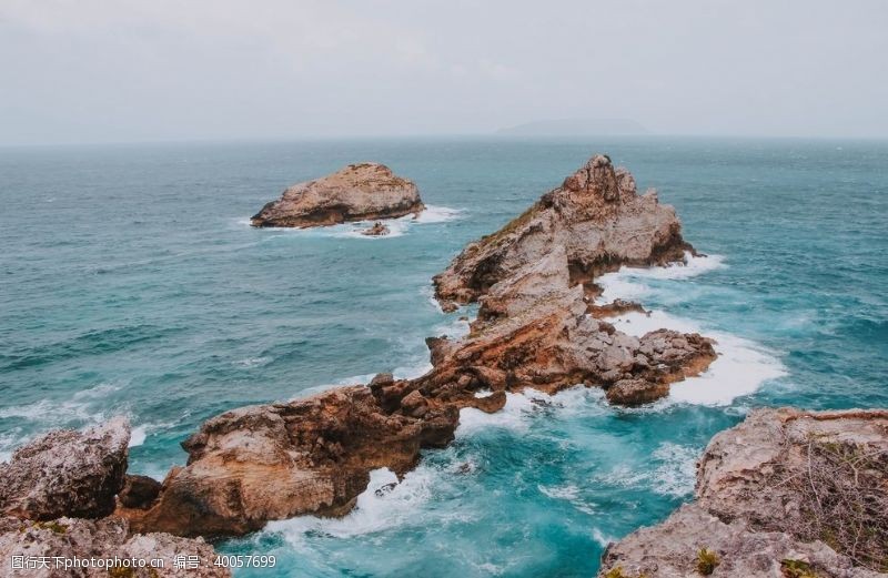 花海洋海边图片