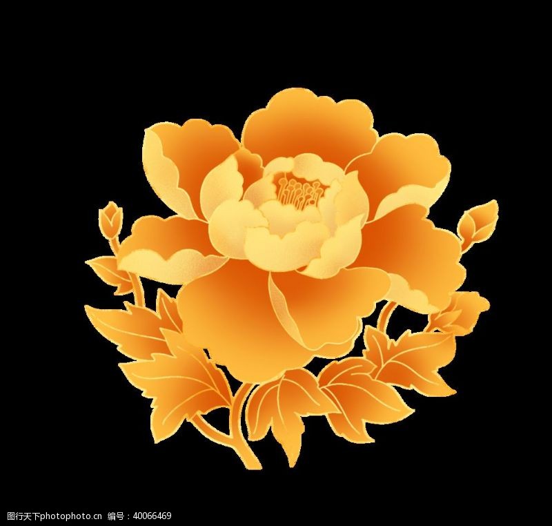 彩绘花卉黄色牡丹插画图片