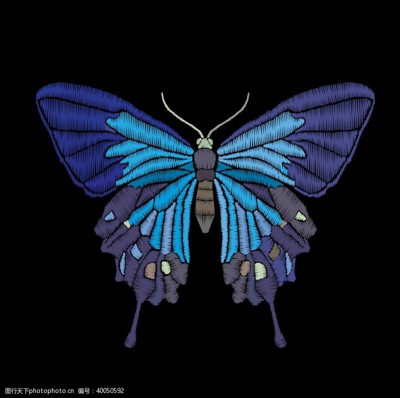抽象蝴蝶昆虫T恤图案排版设计图片