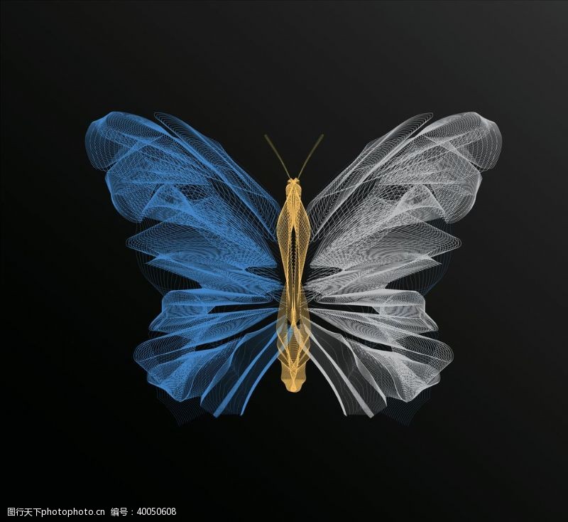 时尚渐变蝴蝶昆虫T恤图案排版设计图片