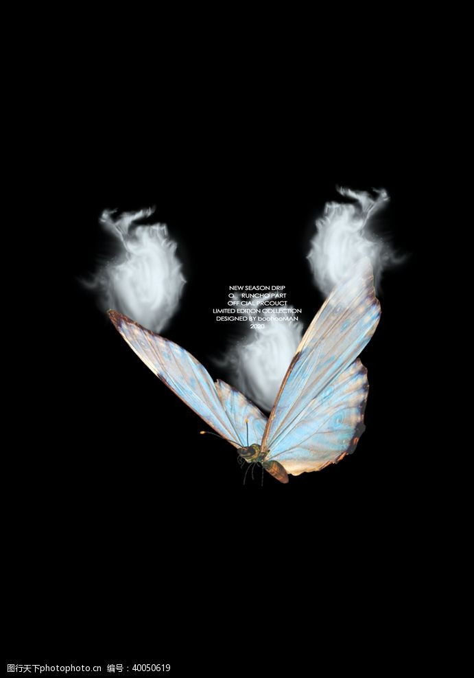 照片墙背景蝴蝶昆虫T恤图案排版设计图片