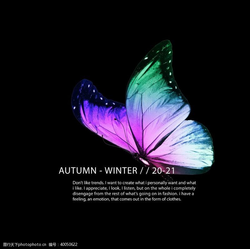 抽象蝴蝶蝴蝶昆虫T恤图案排版设计图片