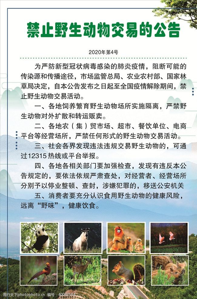 绿禁止野生动物交易通告图片