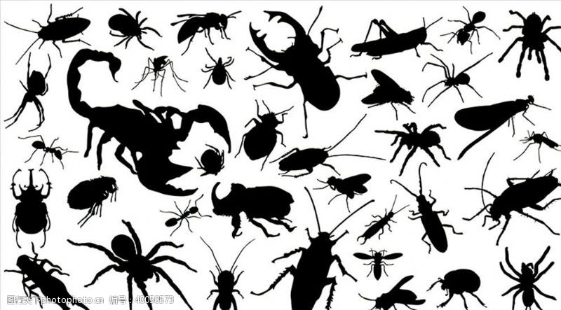 蟑螂昆虫矢量剪影合集图片