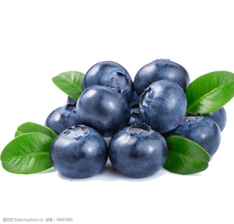 莓果蓝莓图片