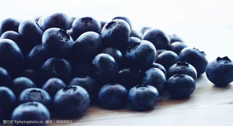 野生蓝莓蓝莓图片