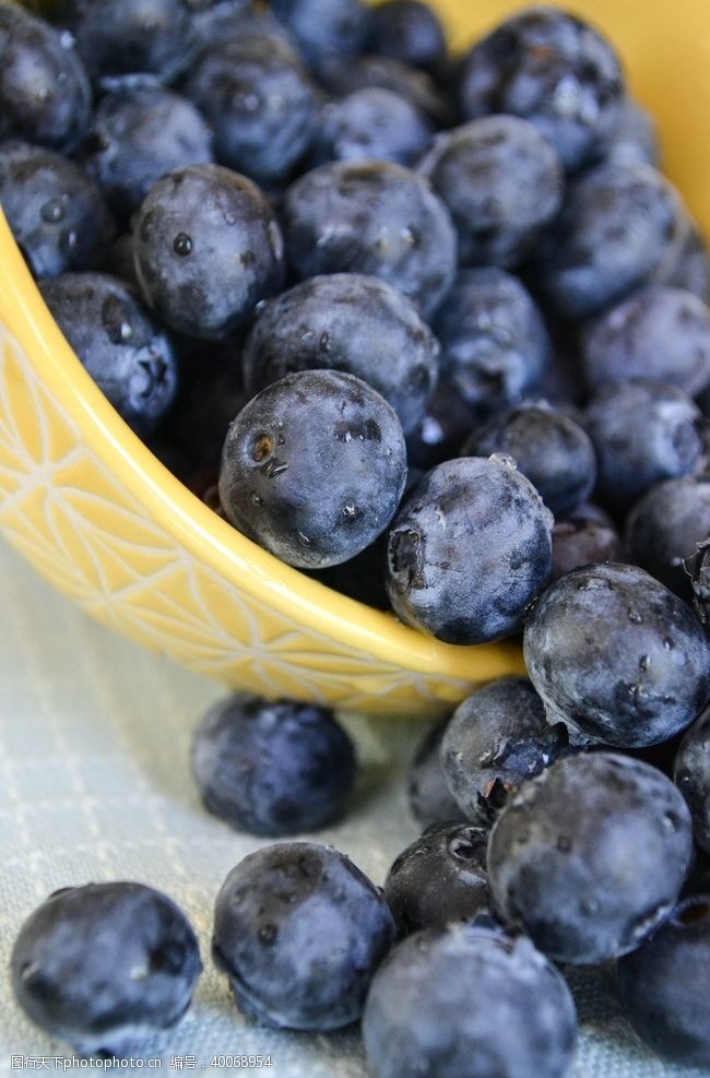 水果农场蓝莓图片