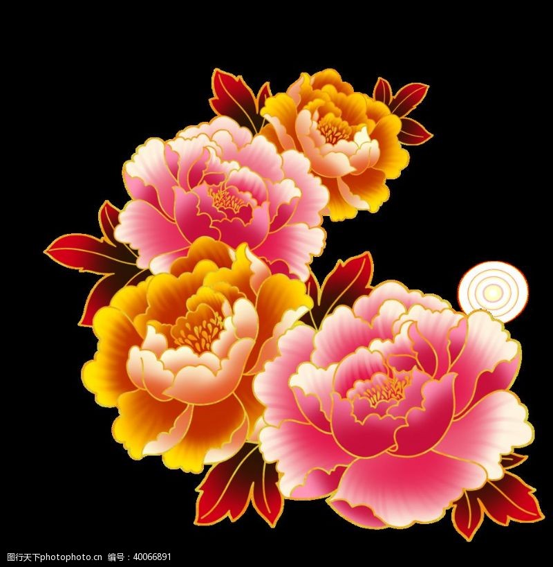 水彩花卉牡丹花插画素材图片