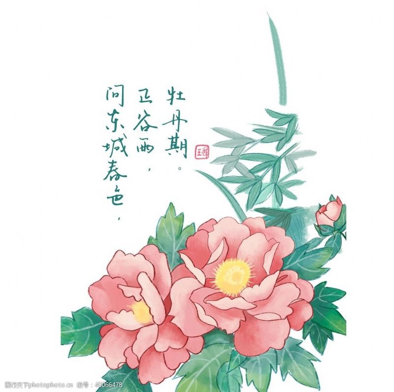 彩绘花卉牡丹花手绘素材图片