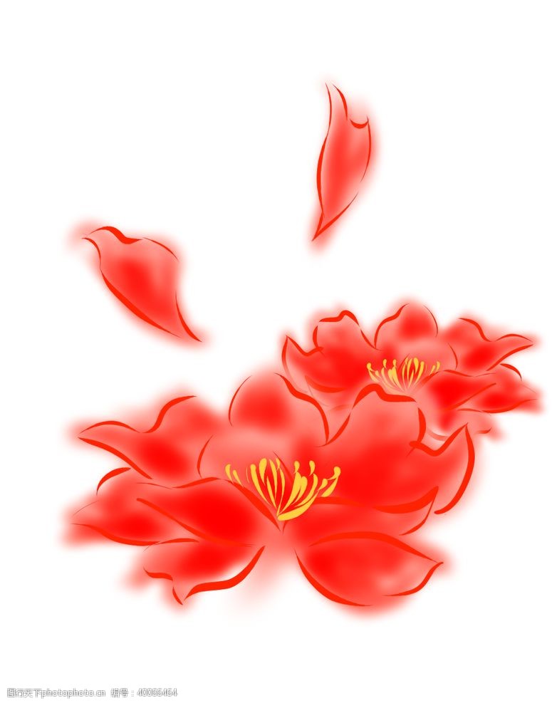 彩绘花卉牡丹素材图片