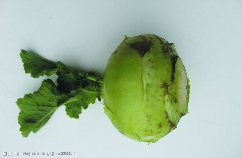 相机苤兰绿色蔬菜图片