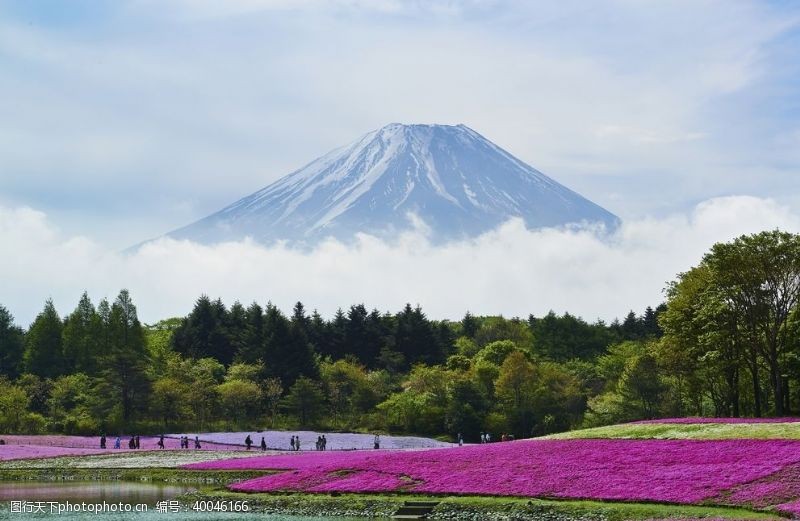 樱花旅游日本风光图片