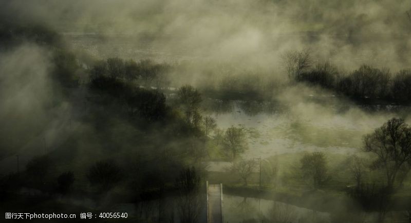枫叶山林间的薄雾图片