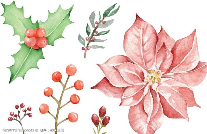 彩画圣诞桂皮与树叶图片
