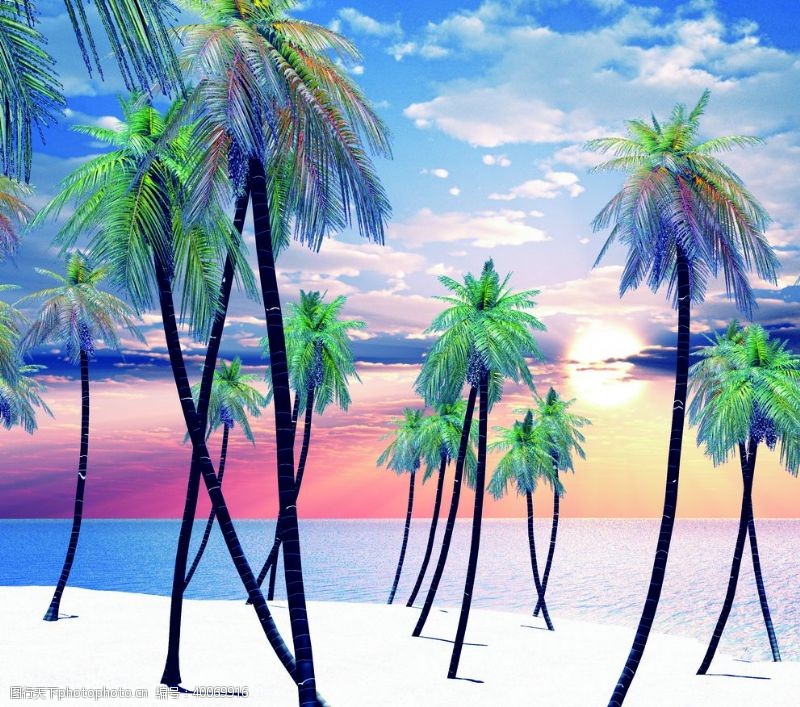 椰树数码印花图片