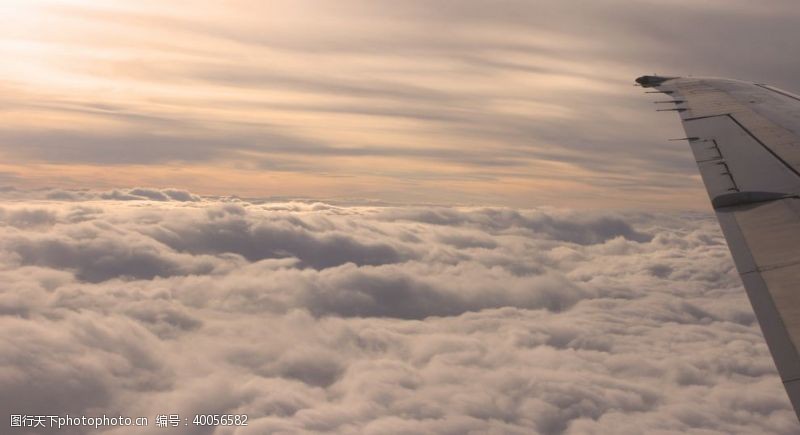 飞翔仙境般的云海图片