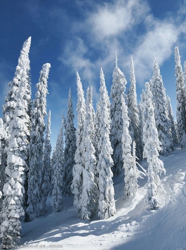 电影素材雪景图片