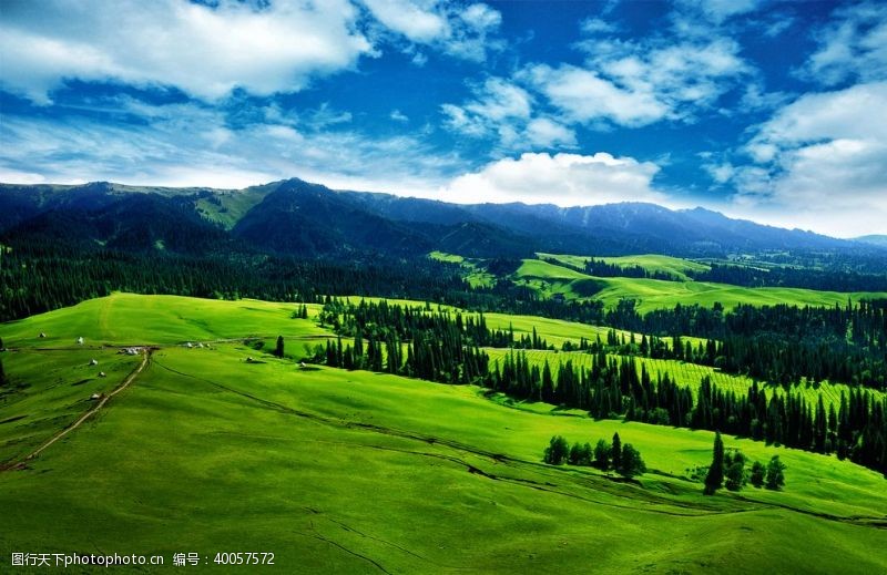 球场风景草原图片