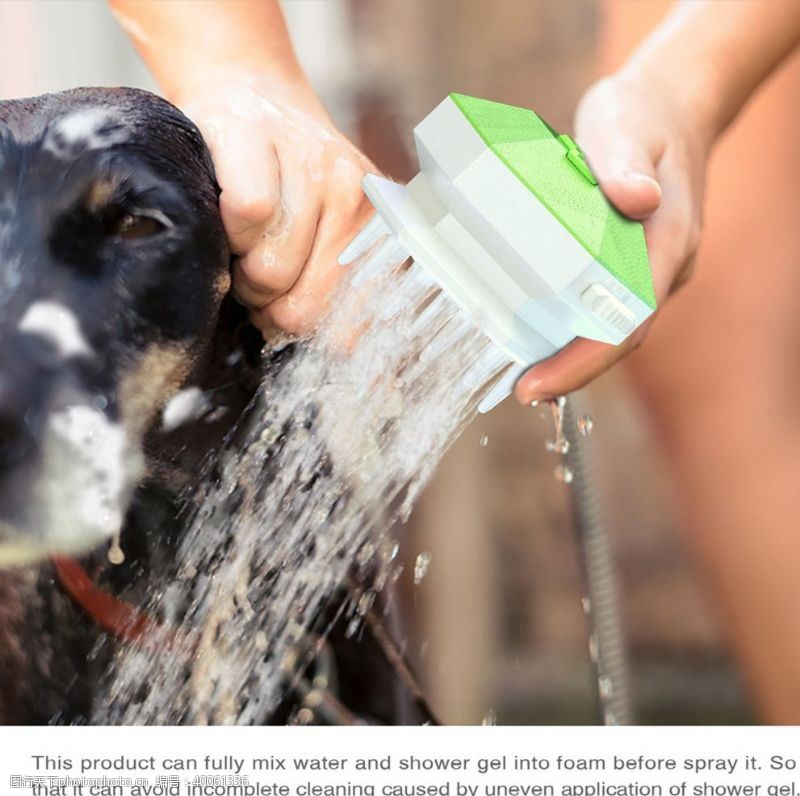宠物狗素材狗洗澡图片