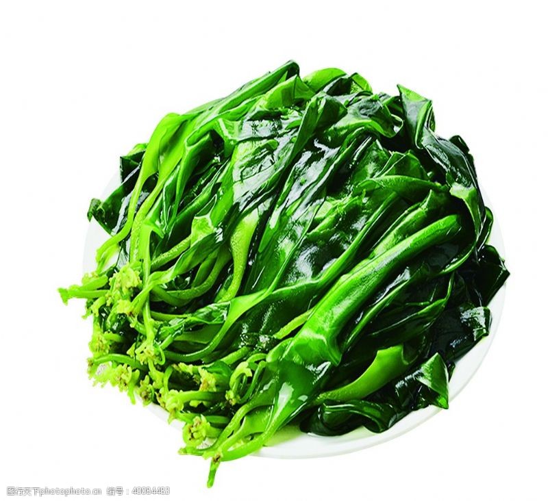 蔬菜素材分层图海带嫩苗图片