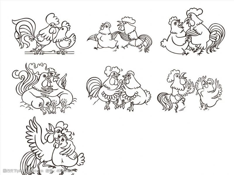 卡通鸡鸡夫妇图片