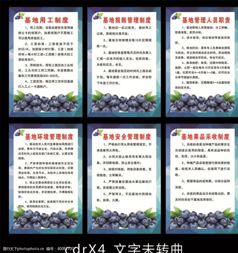 农业蓝莓基地制度图片