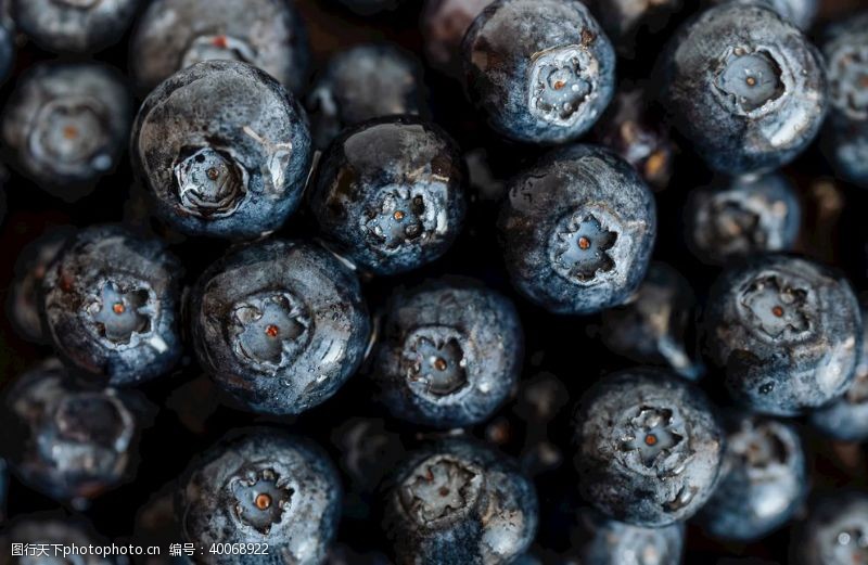 健康产品蓝莓图片