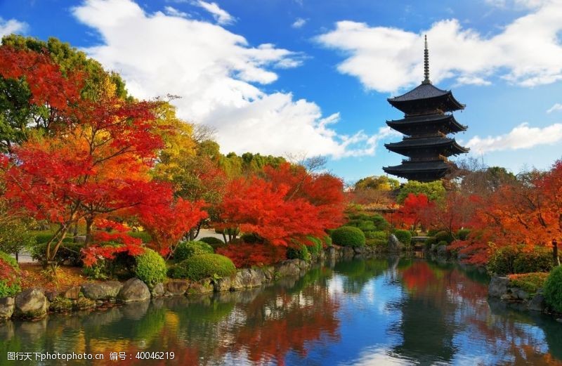 日本樱花日本风光图片