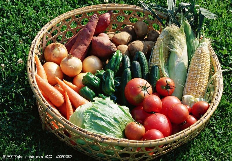 有机蔬菜田园蔬菜图片
