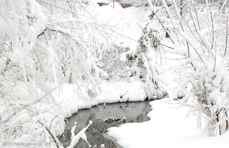 新村雪景图片