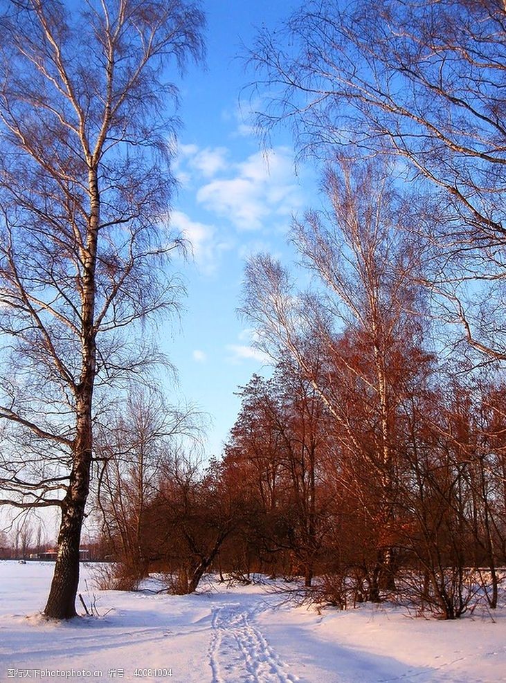 积雪雪景图片