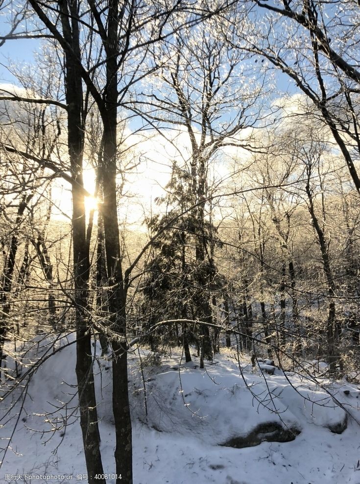 滑雪雪景图片