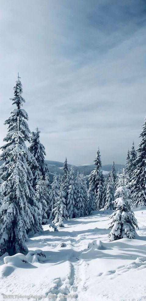 滑雪雪景图片