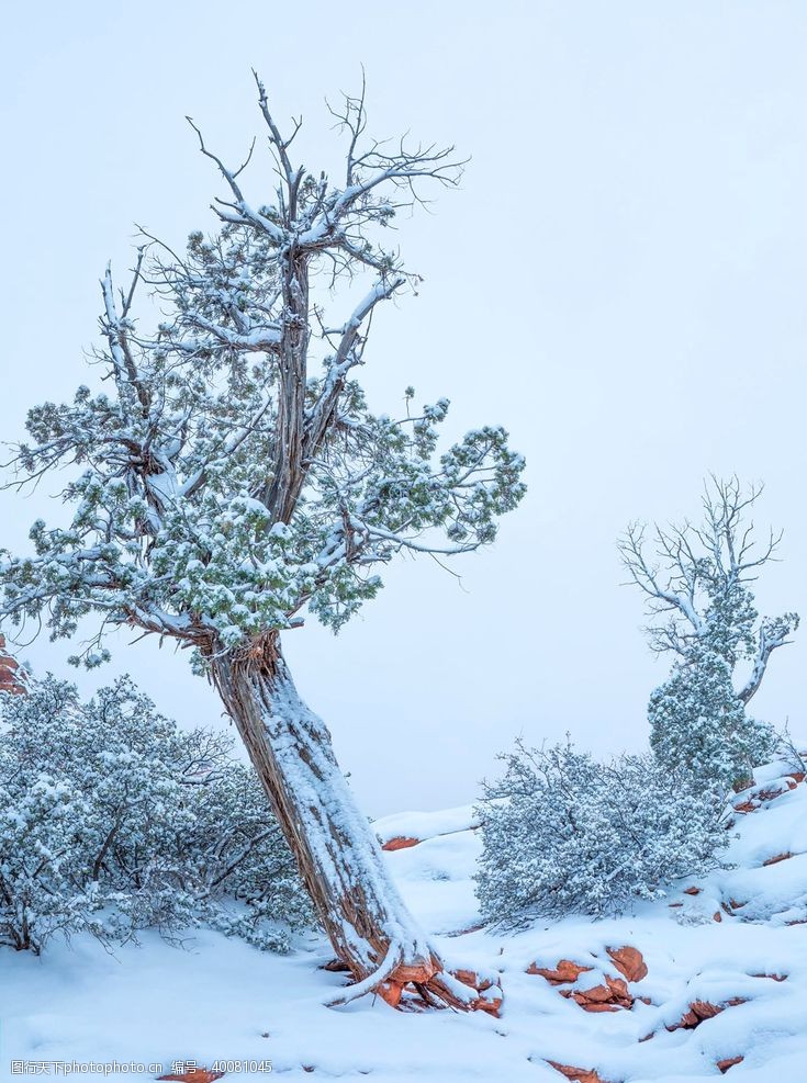 滑雪素材雪景图片