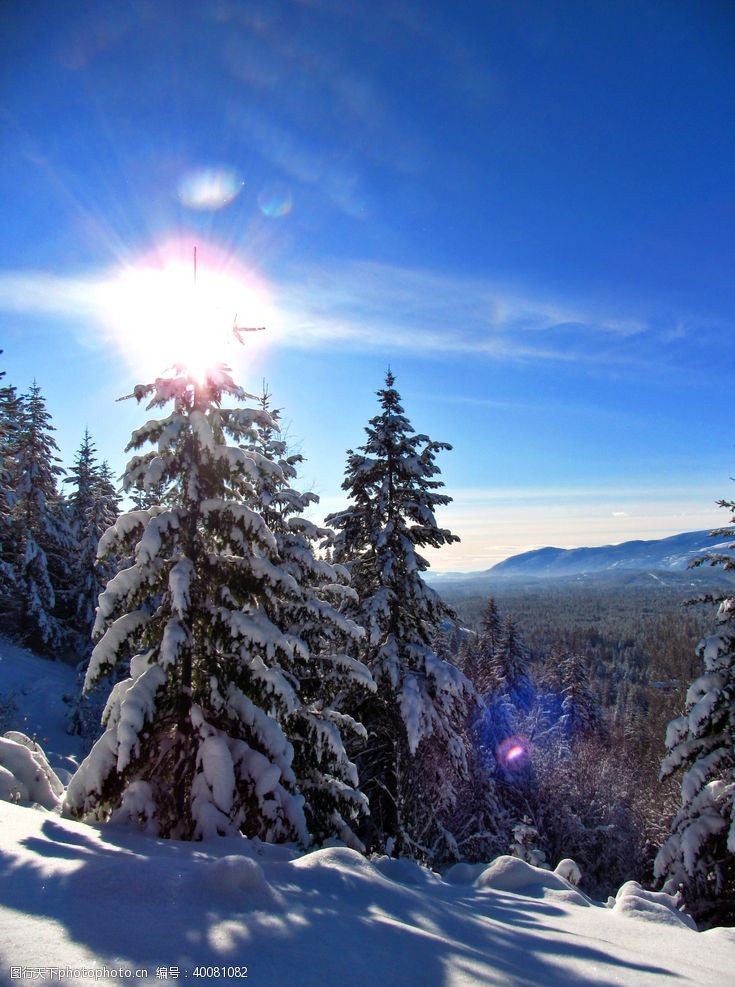 新村雪景图片