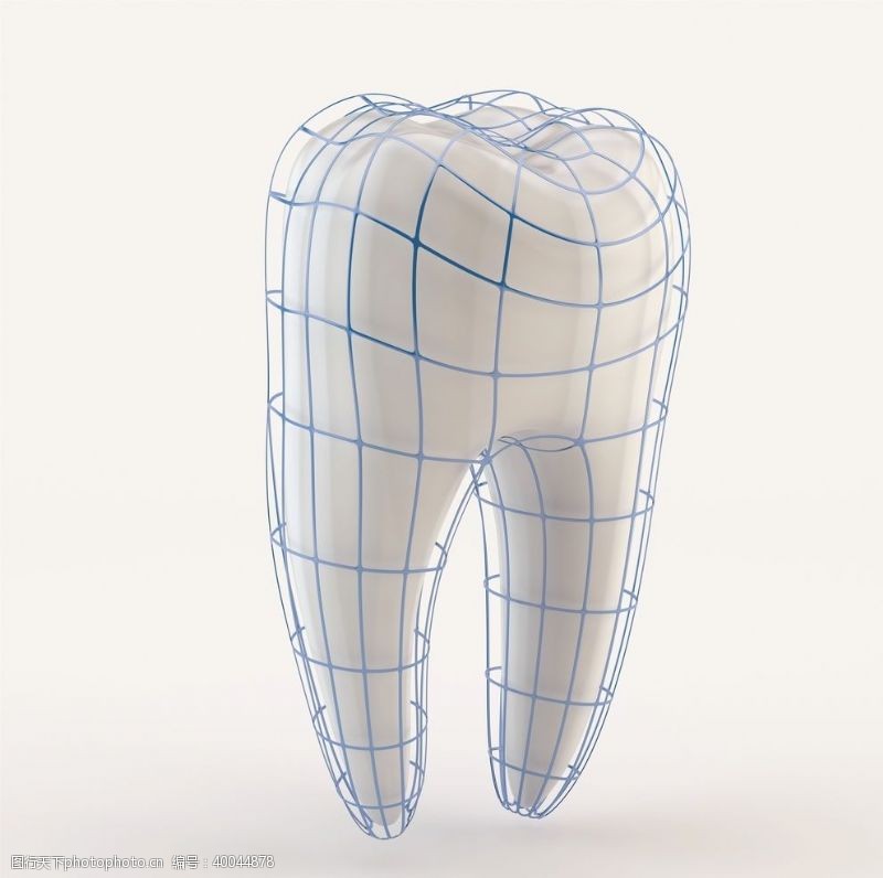 医院文化牙齿模型图片