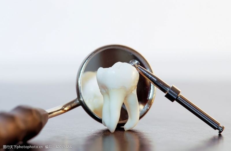 牙齿医院牙齿模型图片