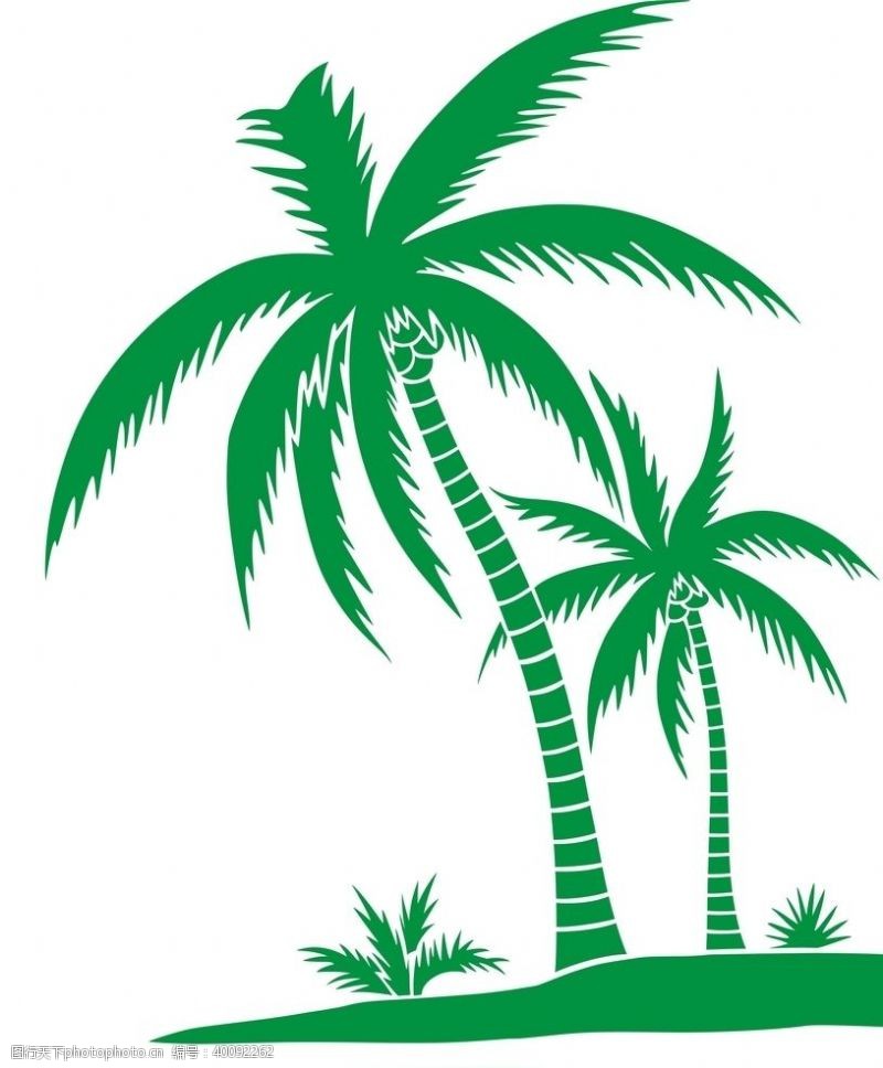 矢量植物椰树图片