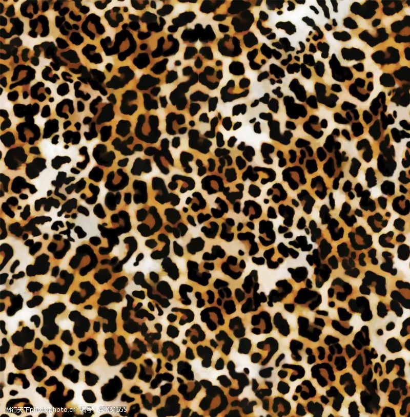 波西米亚花纹豹纹图片