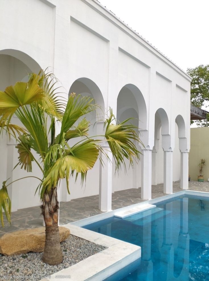 椰子树别墅游泳池图片